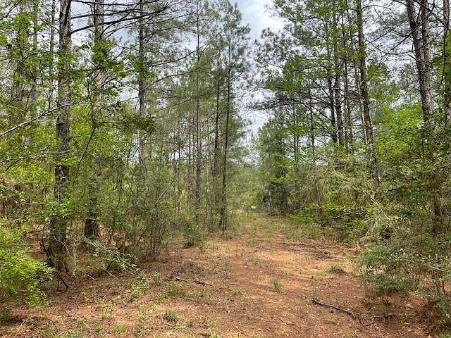 61.25 Acres of Recreational Land for Sale in Magnolia, Mississippi