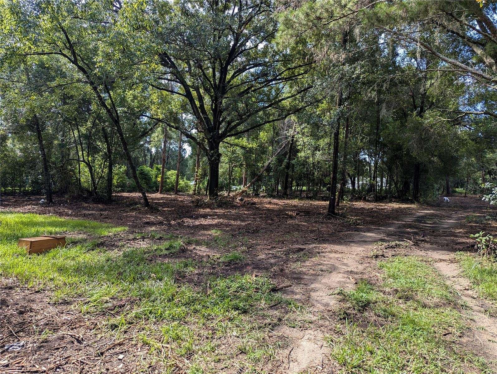 0.57 Acres of Residential Land for Sale in Valrico, Florida