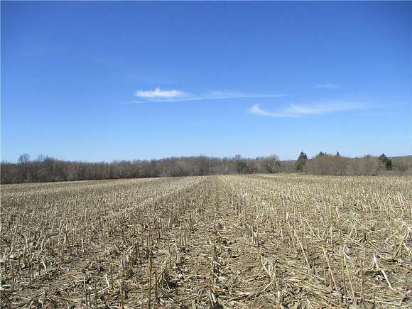 43.5 Acres of Land for Sale in St. Croix Falls Town, Wisconsin