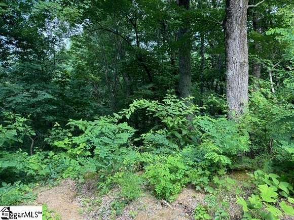 5.1 Acres of Residential Land for Sale in Landrum, South Carolina