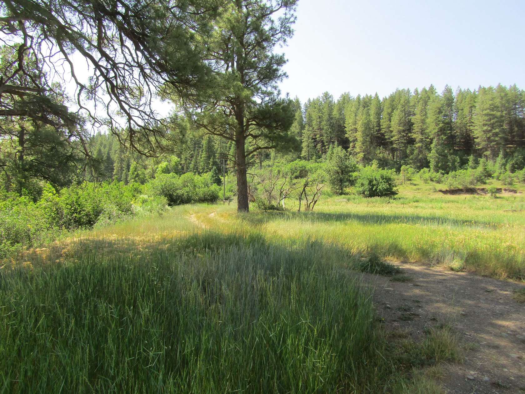 94.94 Acres of Land for Sale in Pagosa Springs, Colorado