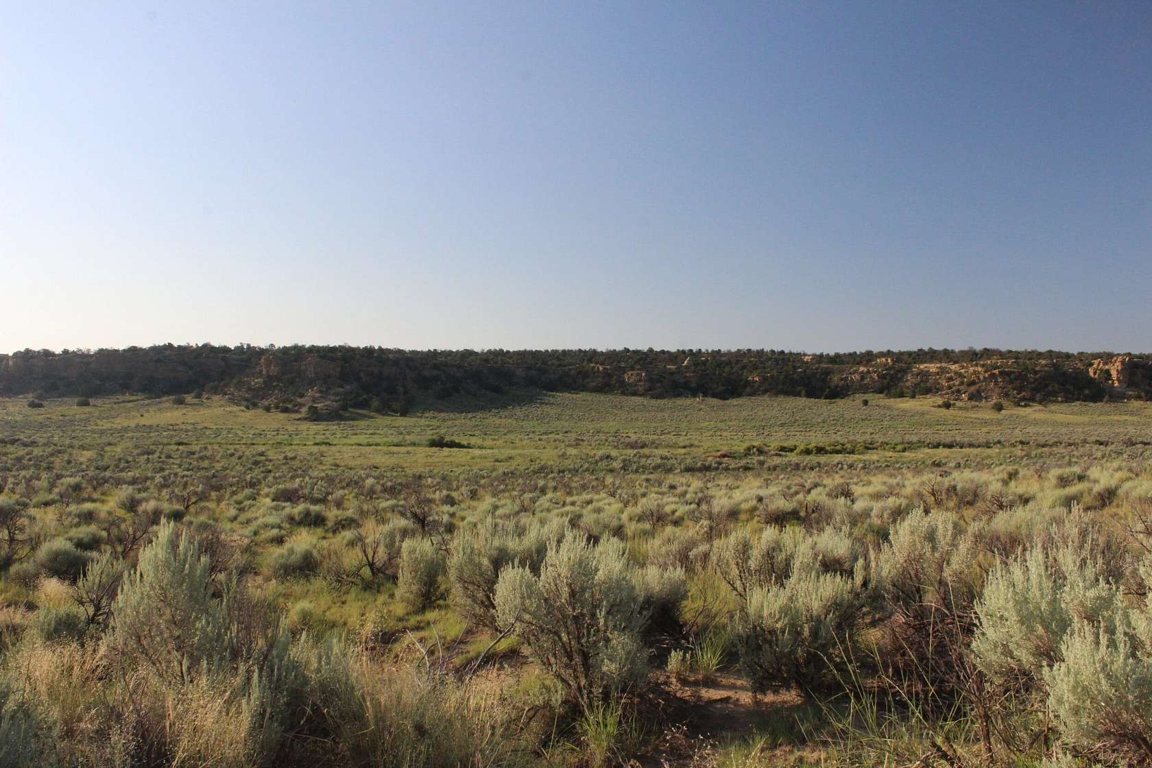 310 Acres of Recreational Land for Sale in Counselor, New Mexico