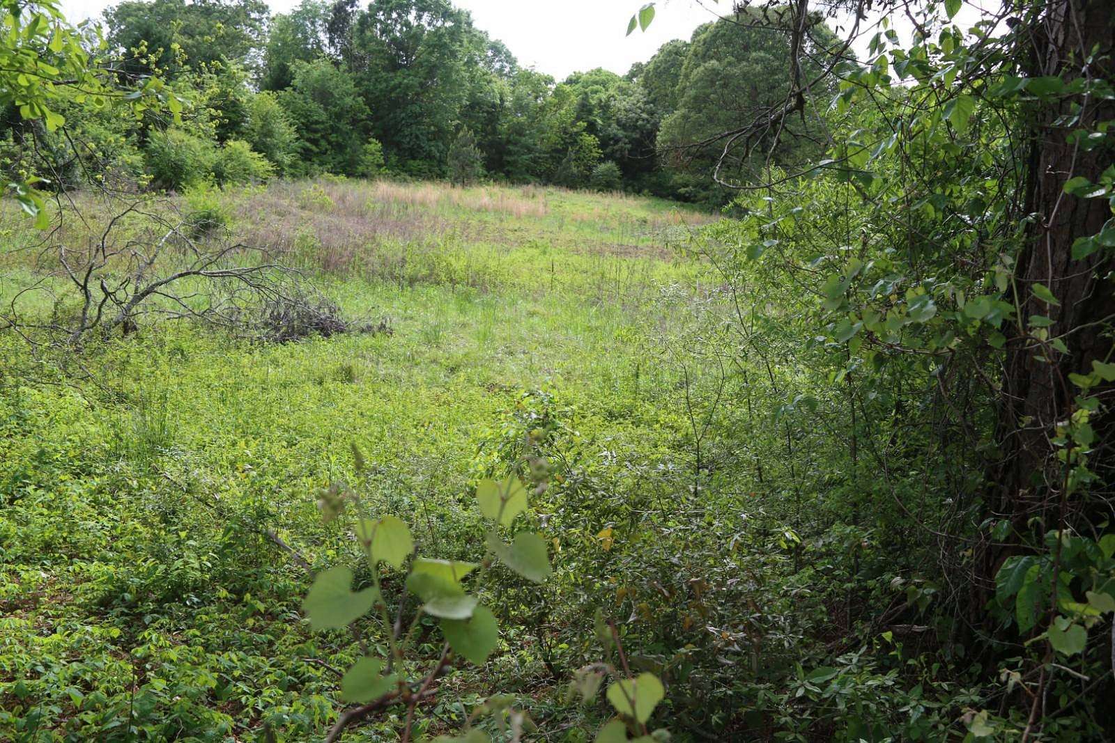 3.7 Acres of Land for Sale in Montgomery, Alabama