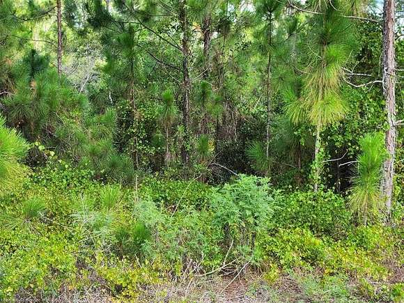 0.29 Acres of Residential Land for Sale in Lake Placid, Florida