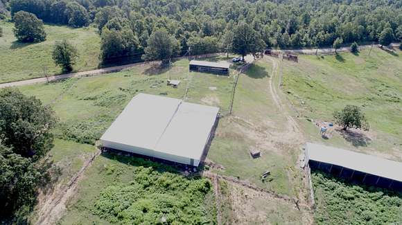 40 Acres of Recreational Land for Sale in Piggott, Arkansas