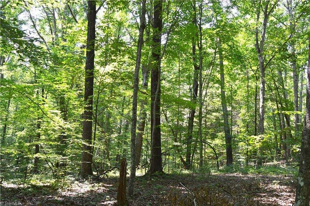 19.27 Acres of Land for Sale in Pelham, North Carolina