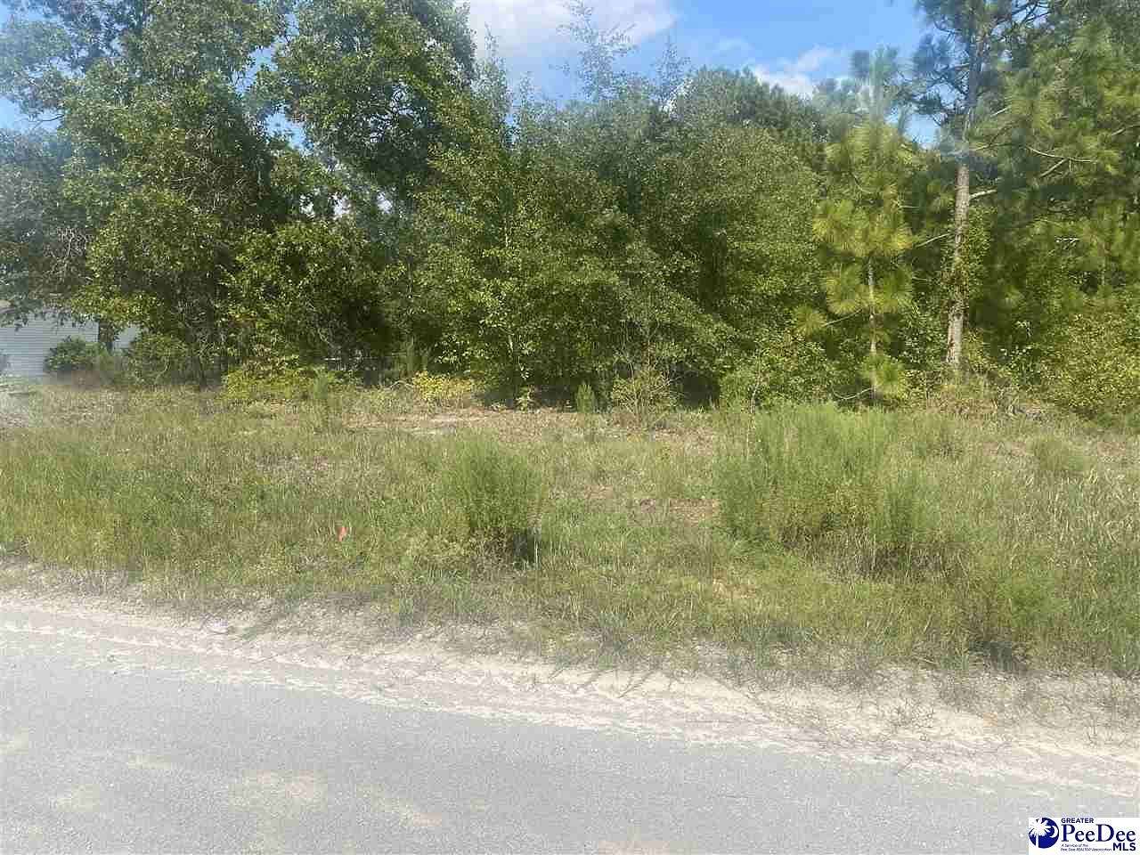 0.7 Acres of Residential Land for Sale in Dillon, South Carolina