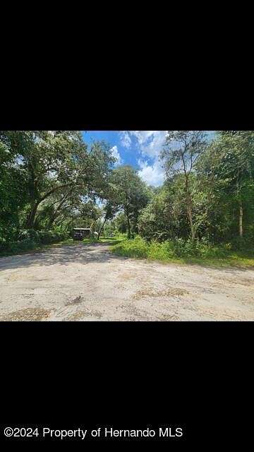 1.37 Acres of Residential Land for Sale in Webster, Florida