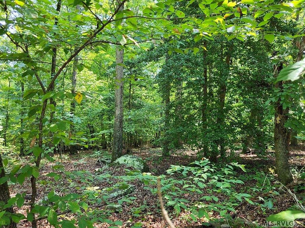 0.68 Acres of Residential Land for Sale in Ebony, Virginia