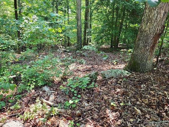 0.68 Acres of Residential Land for Sale in Ebony, Virginia