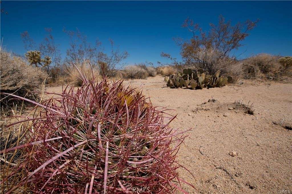 1.25 Acres of Land for Sale in Twentynine Palms, California