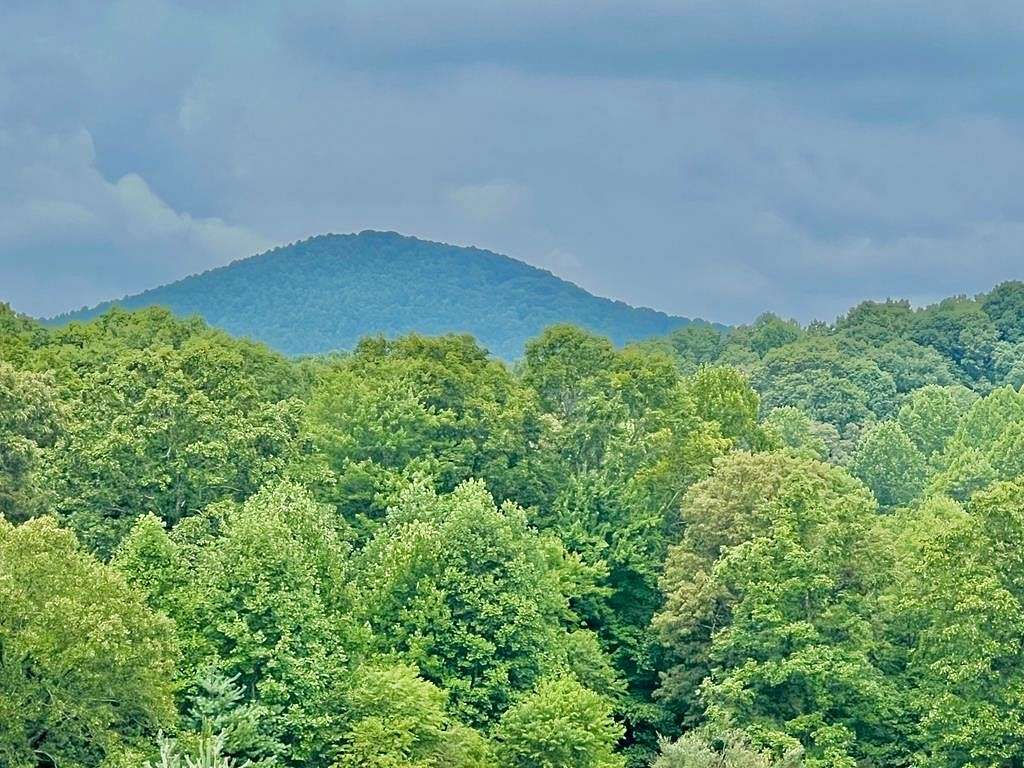 1.4 Acres of Residential Land for Sale in Blairsville, Georgia