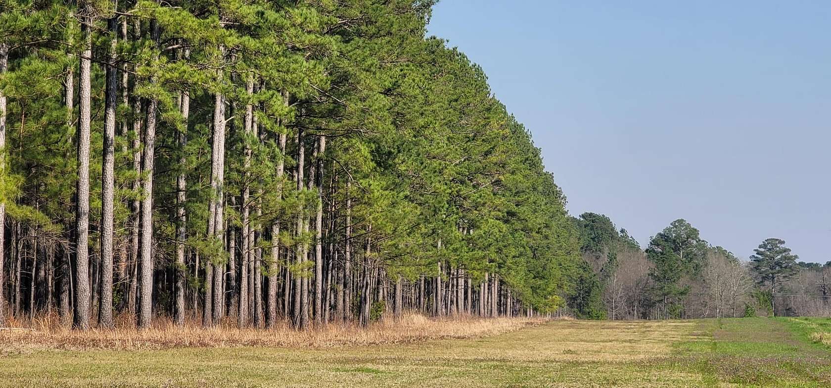 201 Acres of Recreational Land for Sale in Dawson, Georgia