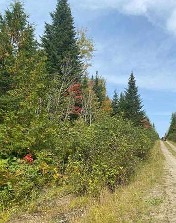 45.3 Acres of Recreational Land for Sale in Connor Township, Maine