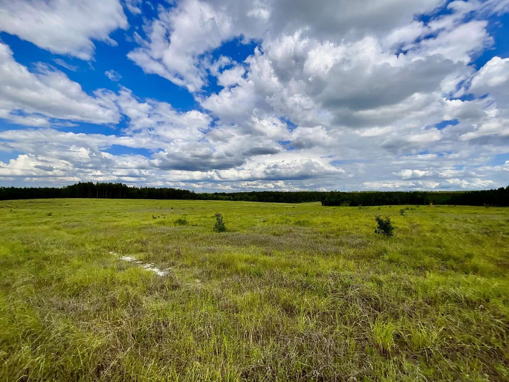 12 Acres of Agricultural Land for Sale in Aiken, South Carolina