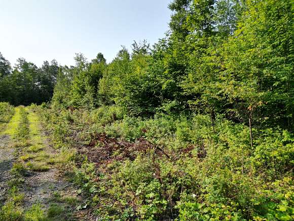 15.78 Acres of Recreational Land for Sale in Springfield, Maine