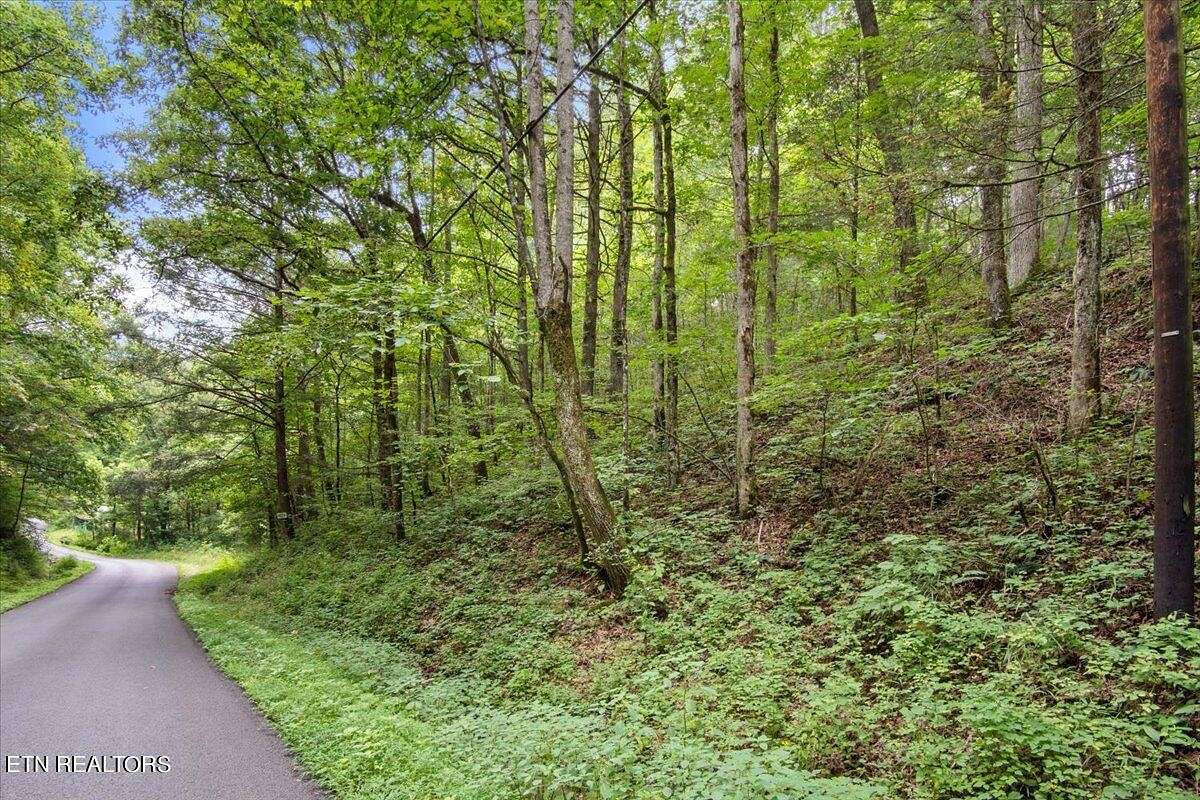 2 Acres of Residential Land for Sale in Pioneer, Tennessee - LandSearch