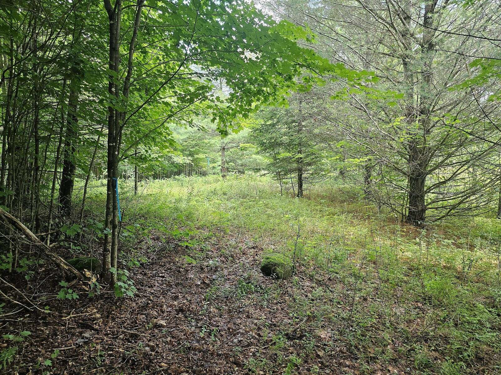 14.03 Acres of Recreational Land for Sale in Piercefield, New York