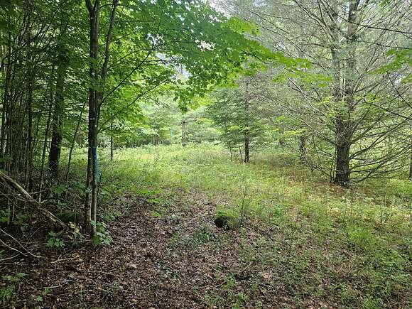 14.03 Acres of Recreational Land for Sale in Piercefield, New York