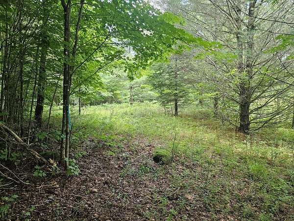 11.7 Acres of Recreational Land for Sale in Piercefield, New York