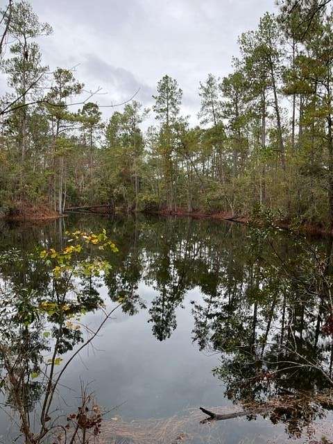 28 Acres of Recreational Land for Sale in Valdosta, Georgia