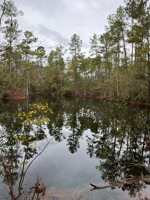 28 Acres of Land for Sale in Valdosta, Georgia