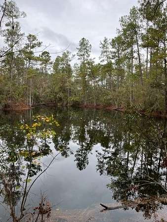 28 Acres of Land for Sale in Valdosta, Georgia