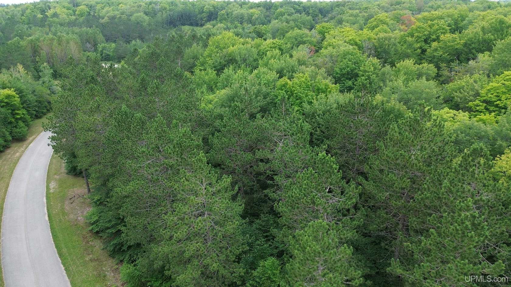 2.91 Acres of Residential Land for Sale in Newberry, Michigan