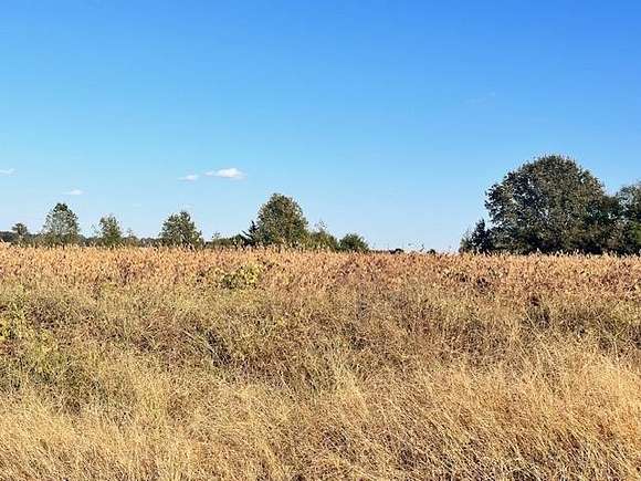 5 Acres of Residential Land for Sale in Florence, Alabama