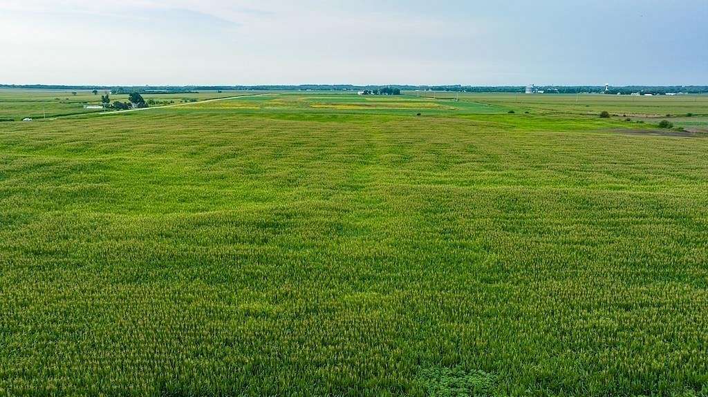 Land for Sale in Clarksville, Iowa