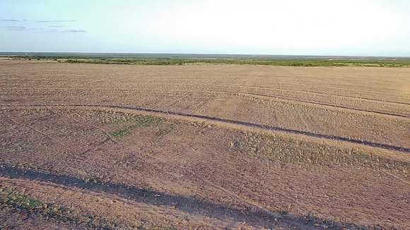 271.65 Acres of Land for Sale in Miles, Texas