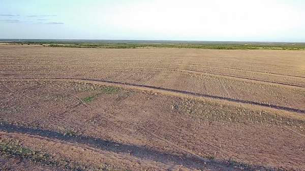 272 Acres of Land for Sale in Miles, Texas