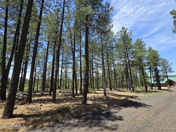 1 Acre of Residential Land for Sale in Munds Park, Arizona