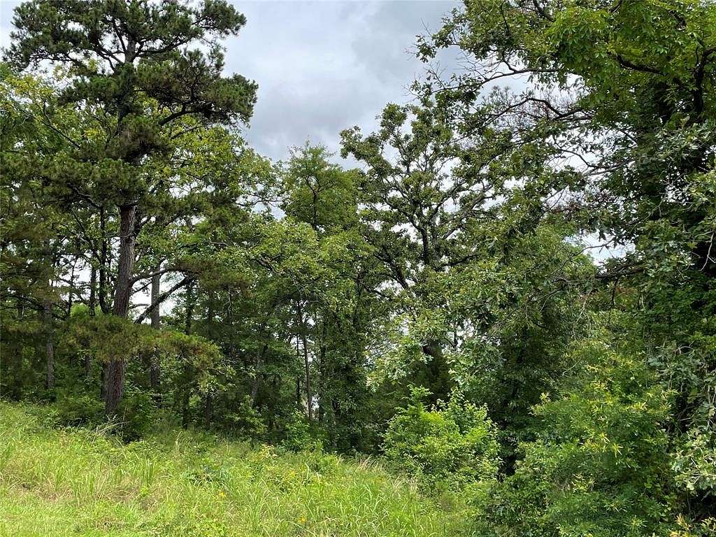 0.56 Acres of Land for Sale in Lindale, Texas