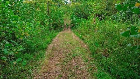 8.75 Acres of Residential Land for Sale in Londonderry, Ohio