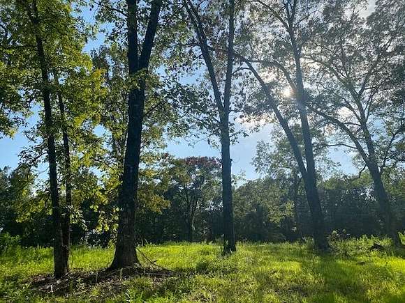 18 Acres of Land for Sale in Norwood, Missouri