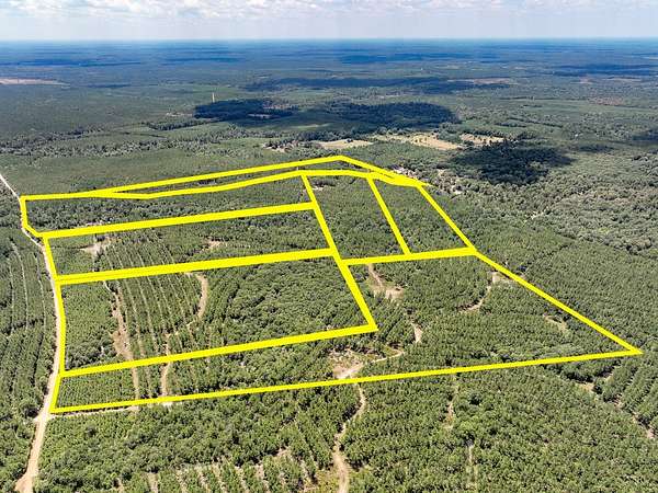 46 Acres of Recreational Land for Sale in Warren, Texas
