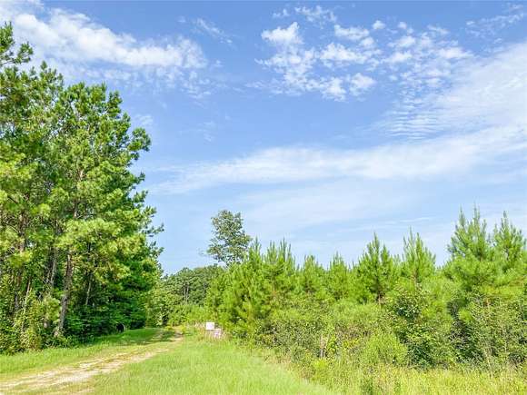 38.086 Acres of Land for Sale in Livingston, Texas