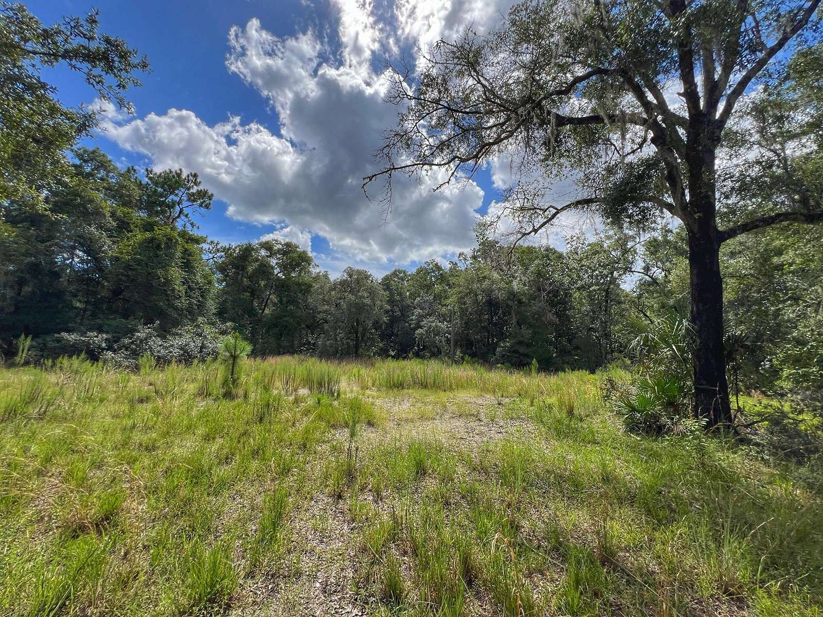 5 Acres of Agricultural Land for Sale in High Springs, Florida