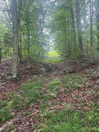 2.29 Acres of Residential Land for Sale in French Lick, Indiana