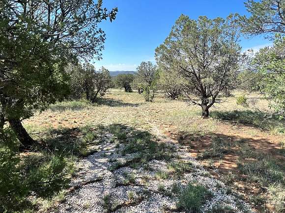 2 Acres of Residential Land for Sale in Carlsbad, New Mexico