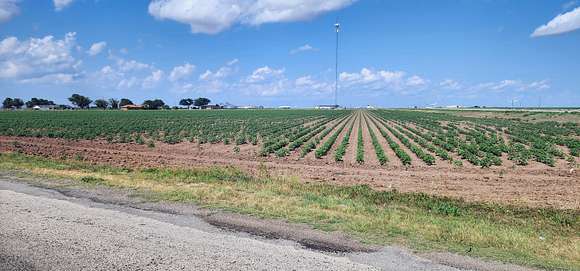 15.314 Acres of Land for Sale in Wall, Texas