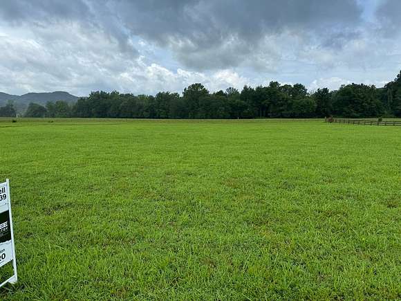 1 Acre of Residential Land for Sale in Burkesville, Kentucky