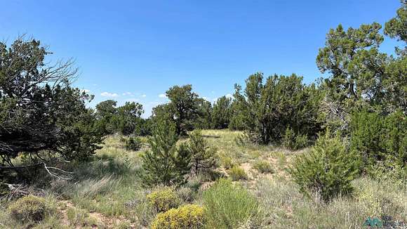 13.3 Acres of Land for Sale in Fence Lake, New Mexico