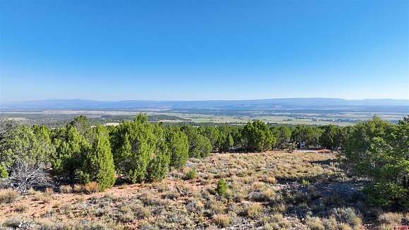 36.85 Acres of Recreational Land for Sale in Norwood, Colorado