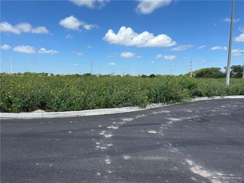 0.14 Acres of Residential Land for Sale in San Juan, Texas