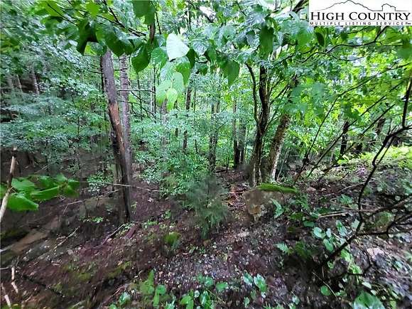 0.45 Acres of Land for Sale in Beech Mountain, North Carolina