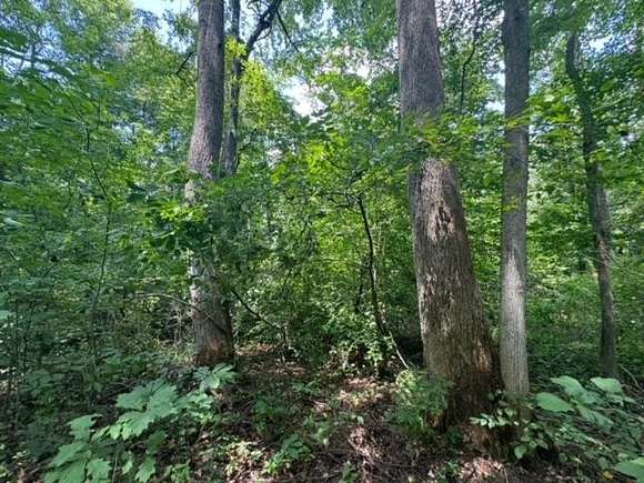 99.57 Acres of Recreational Land for Sale in Bremen, Kentucky