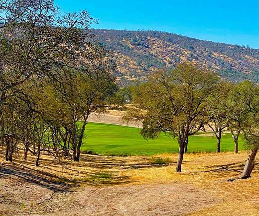 0.48 Acres of Residential Land for Sale in Copperopolis, California