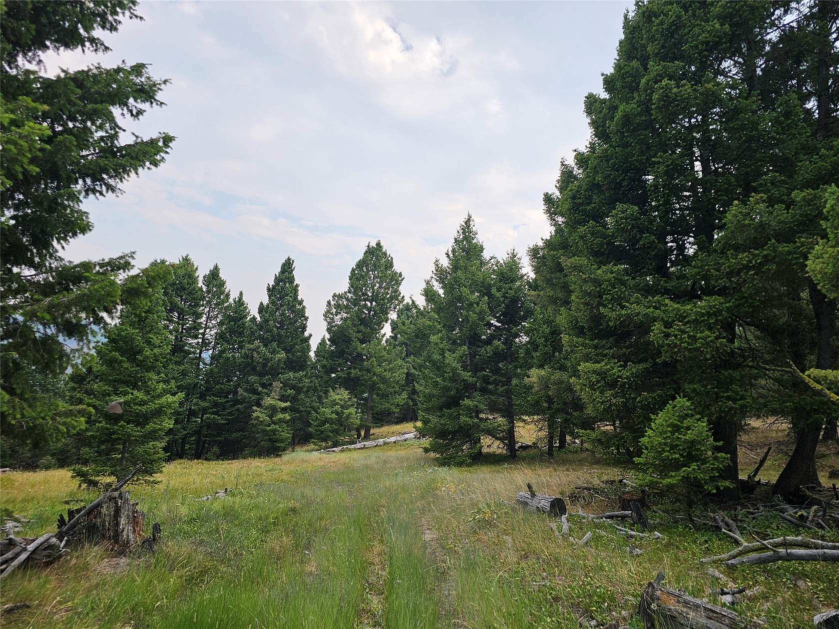 20 Acres of Recreational Land for Sale in Drummond, Montana